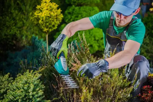landscaping services Woodsfield